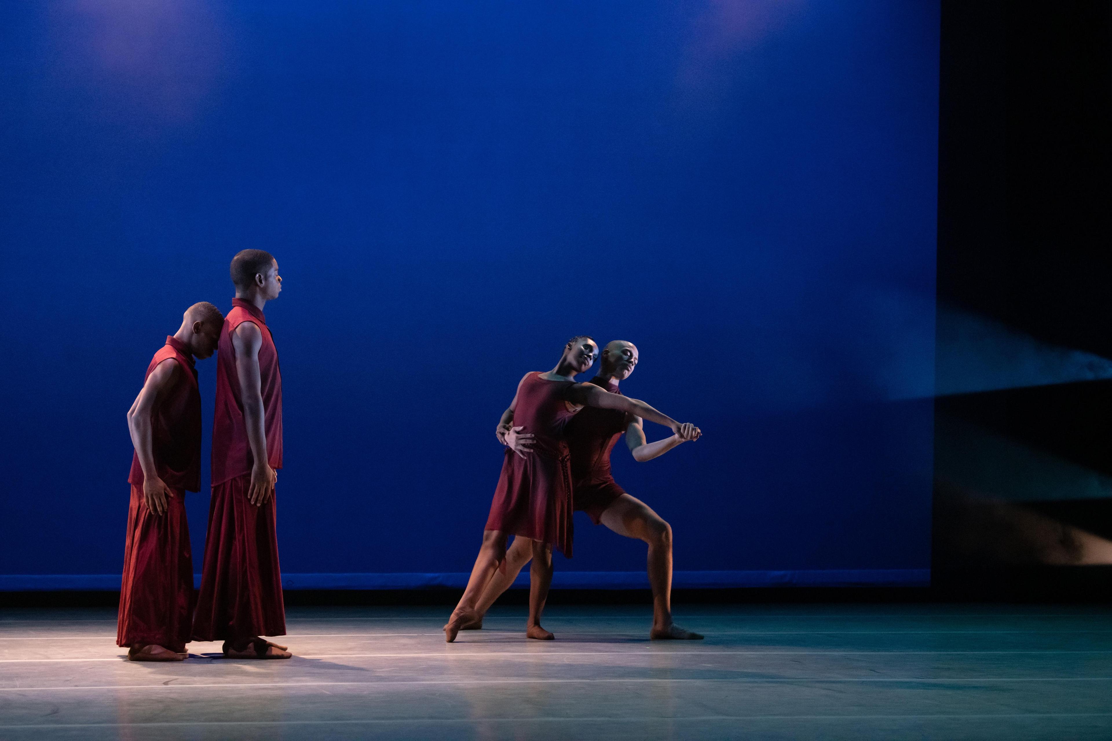 Ailey II in Kirven Douthit-Boyd's Still